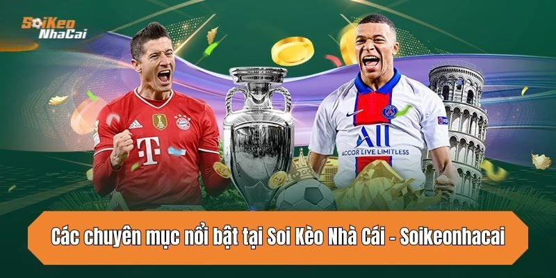 Các chuyên mục nổi bật tại Soi Kèo Nhà Cái - Soikeonhacai