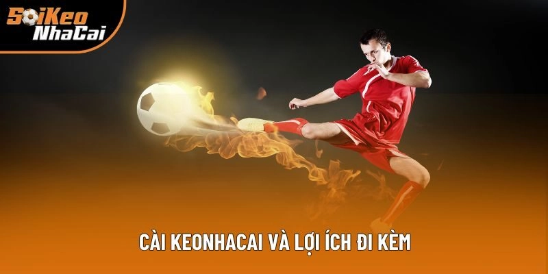 Keonhacai có app di động không và lợi ích đi kèm Keonhacai có app di động không và lợi ích đi kèm