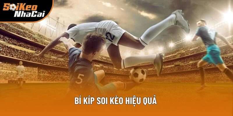 Các kinh nghiệm giúp người chơi cá cược hiệu quả Các kinh nghiệm giúp người chơi cá cược hiệu quả